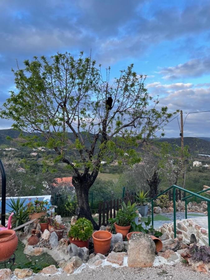 Monte Carrascal Guesthouse Salir Esterno foto